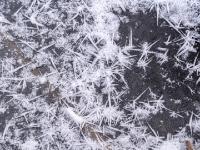 Unzählige Eissterne umgeben dunkle Eisdecke am Bärnseebach